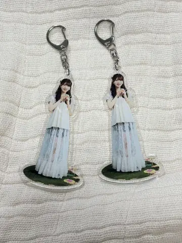 츠츠이 아야메 노기 카페
