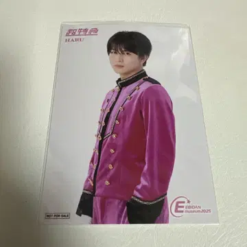 EBiDAN museum 입장 특전 하루