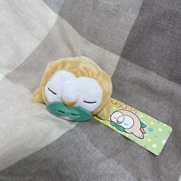 포켓몬 센터 한정판 포켓몬 모쿠로쿠 구부러지는 봉제 인형 굿나잇 ver