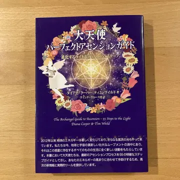 대천사 퍼펙트 어센션 가이드