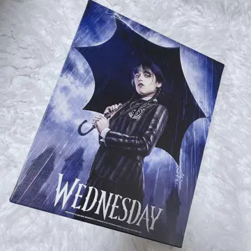 웬즈데이 WEDNESDAY Netflix
