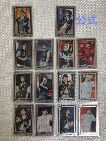 stray kids 라이브 사진 트레이딩 카드