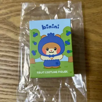 후르츠 코스튬 피규어 비니니