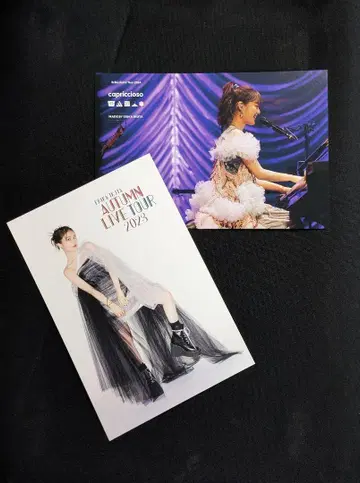 이쿠타 에리카 라이브 투어 엽서 2장 세트