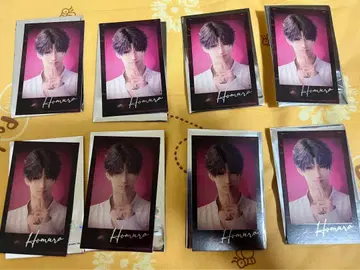 스위트 파라다이스 트레이딩 폴라로이드풍 카드 호무라 공식