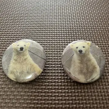 야기야마 동물공원 북극곰 쌍둥이 야기야마 동물원 캔뱃지