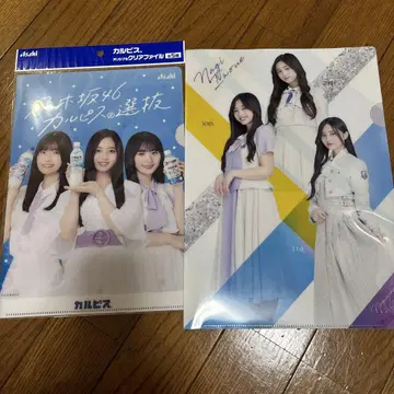 노기자카46 이노우에 와카나 클리어 파일 세트
