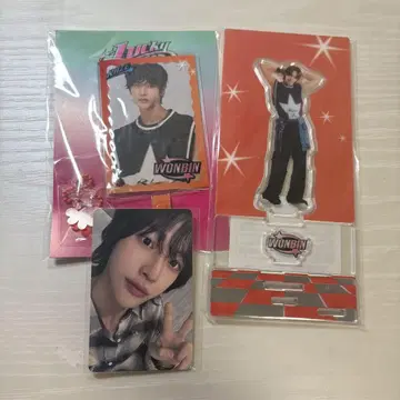 원빈 팝업 POPUP 트레이딩 카드 lucky 아크릴 스탠드 3종 세트