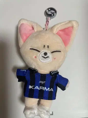 스트레이 키즈 폭시니 아이엔 skzoo 봉제 인형 KARMA CD 미사용