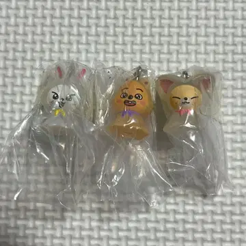 SKZOO 메지루시 액세서리 리 비트 쿼카 폭시니