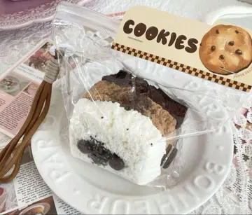 스퀴즈 2