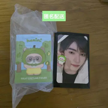 zeroni hanini 장하오 fruit costume figure