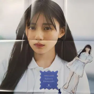노기자카46 카와사키 벚꽃 아크릴 스탠드 & 포스터