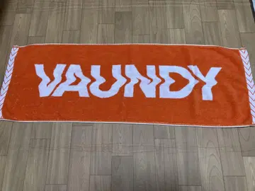 Vaundy 타월