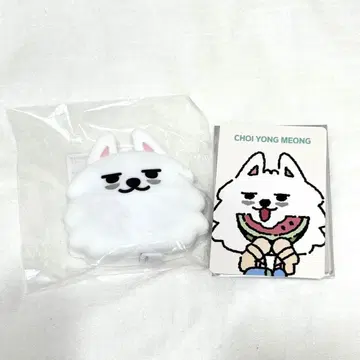 TXT 연준 메이저 트레이딩 카드