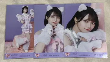 이코라브 사사키 마이카 브로마이드 컴프