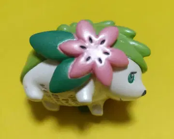 새상품급 몬코레 쉐이미 피규어 꽃 장식 포함