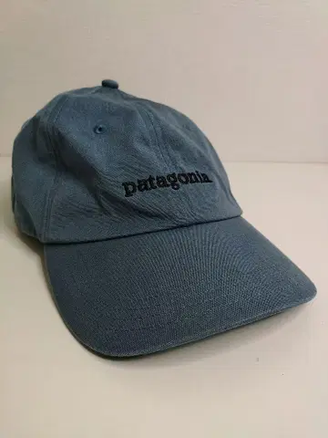 patagonia 심플 로고 캡 파타고니아