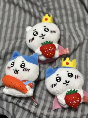 치이카와 고토치 마스코트 후쿠오카현 아마오우 하치와레 명란젓