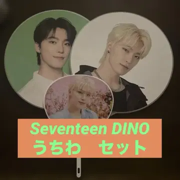 seventeen 부채 디노
