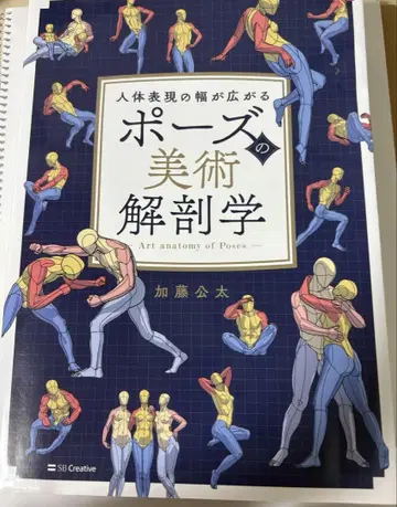 포즈의 미술 해부학