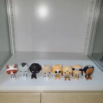 인견 초코노코 컴플리트