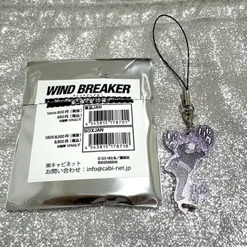 WINDBREAKER 카지 렌 라메 체인 컬렉션