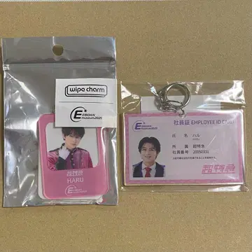 초특급 하루 EBiDANmuseum 참 키링