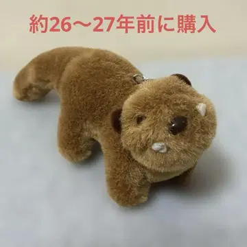 새상품급 망구스 마스코트 봉제 인형 키링 오키나와 기념품