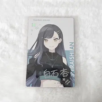 프로세카 시로이시 안 에피카 BNW 금박