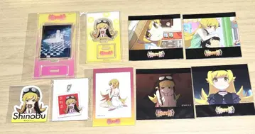 모노가타리 시리즈 오시노 시노부 세트