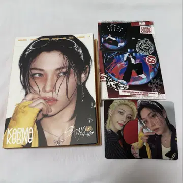 straykids accordion ver 필릭스