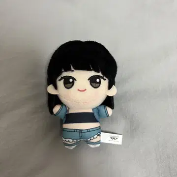 LE SSERAFIM 채원 봉제 인형 SD 인형 (덤 포함)