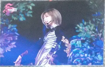 사쿠라자카46 4th YEAR ANNIVERSARY 엽서 6장 세트