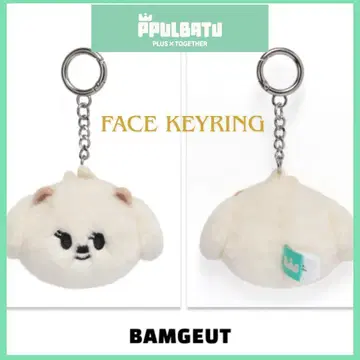 [ TXT PPULBATU ] 범규 BAMGEUT 페이스 키링