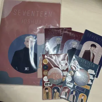 seventeen 캔뱃지