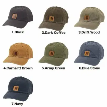 Carhartt Dark coffee 캡