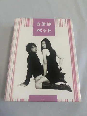 마츠모토 준 너는 펫