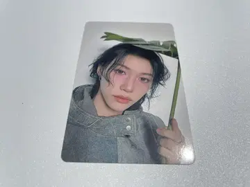 straykids 스키즈 트레이딩 카드 회장 한정판 5/11 필릭스