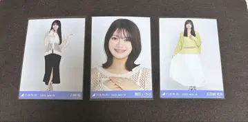 노기자카46 브로마이드 장미 모음 메쉬 니트
