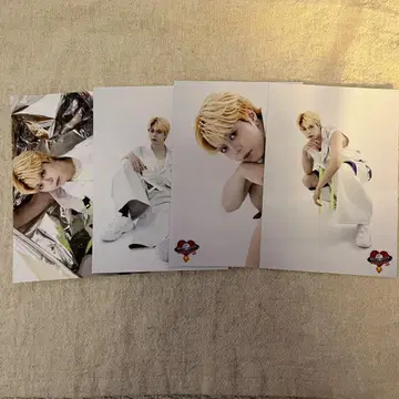 BUDDiiS SEIYA 에비라이 브로마이드
