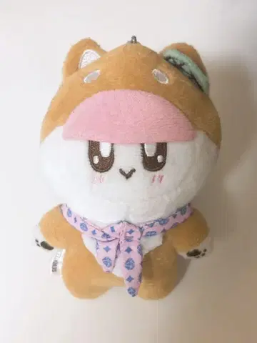 모자 꽁지 seventeen 강아지