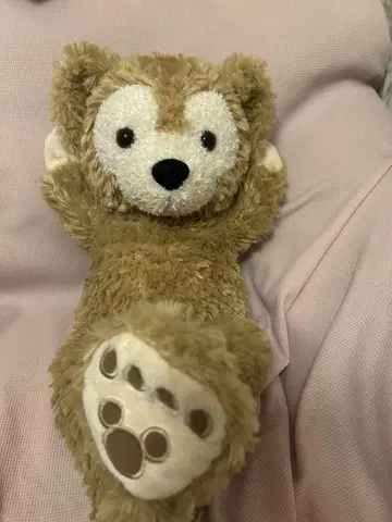 더피 Duffy