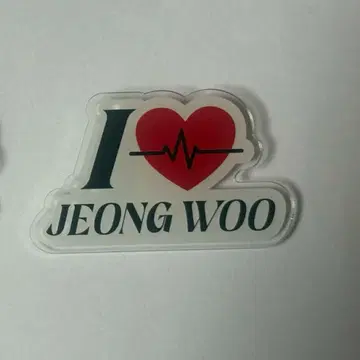 TREASURE 정우 아크릴 배지