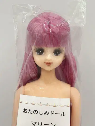 마린 즐거운 인형 핑크 계열 리카짱 캐슬 리틀팩토리