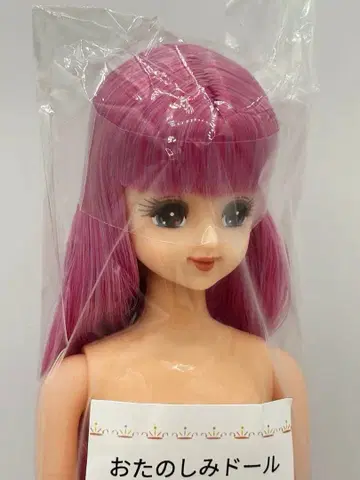 마린 리카짱 캐슬 오타노시미 인형 핑크 계열 제니 프렌드