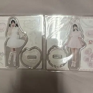 사쿠라바 하루카 LARME 아크릴 스탠드