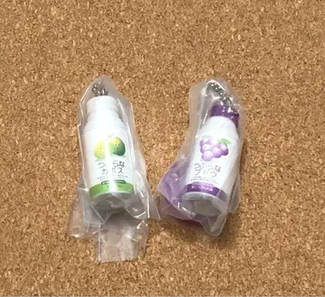 주식회사 제이 에이 후즈 오이타 미니어처 참 가챠 2종 세트