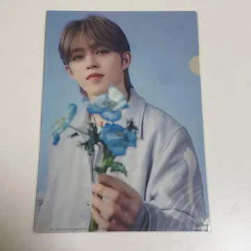 seventeen 세부치 에스크 HANABI 클리어 파일