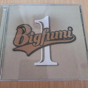 Bigfumi 앨범 1